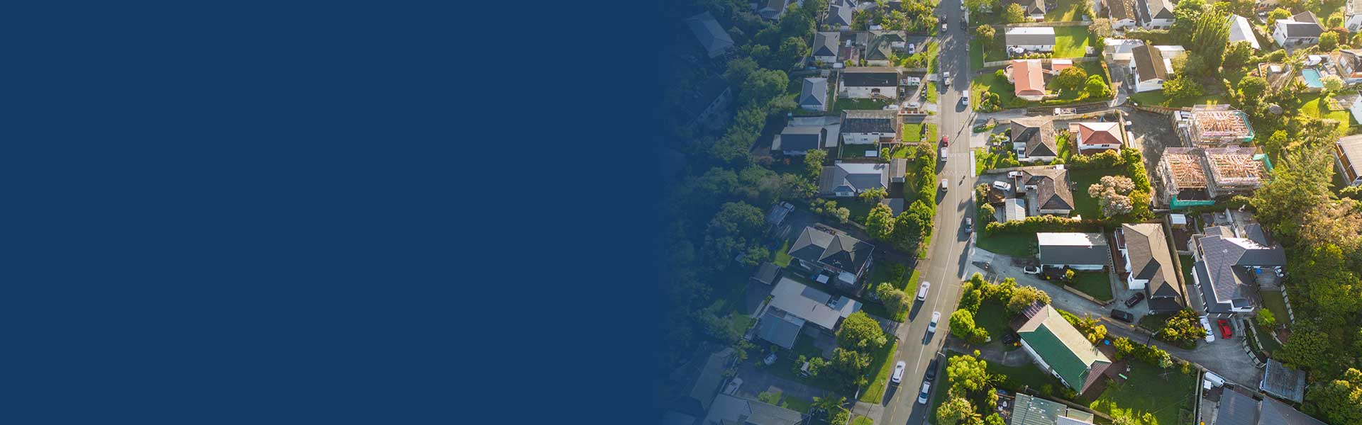 Economic Development and Revitalization