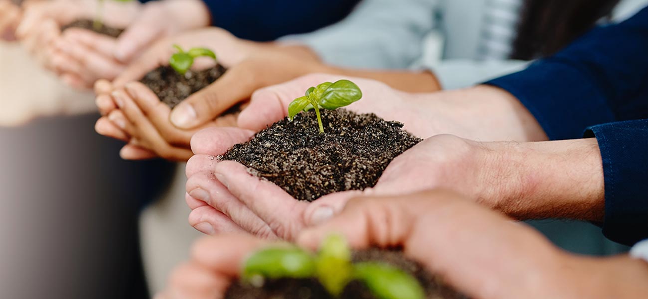 CRA y Desarrollo Comunitario