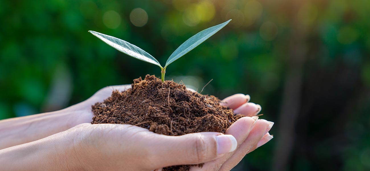 Managing Your Account