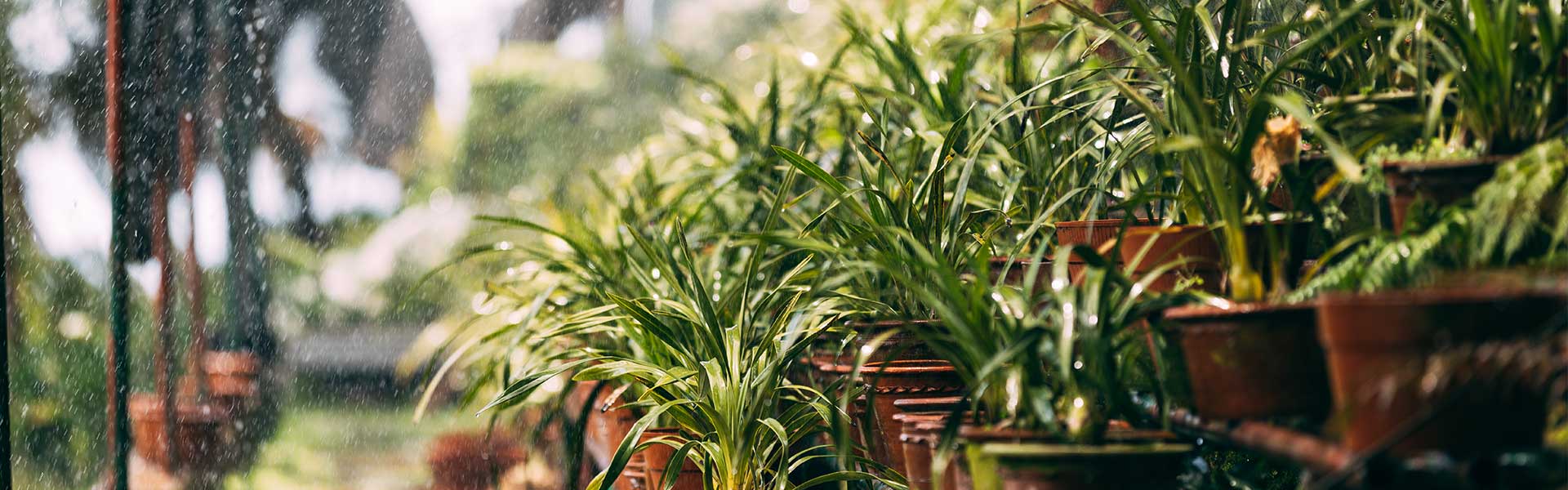 Second Chance Business Checking