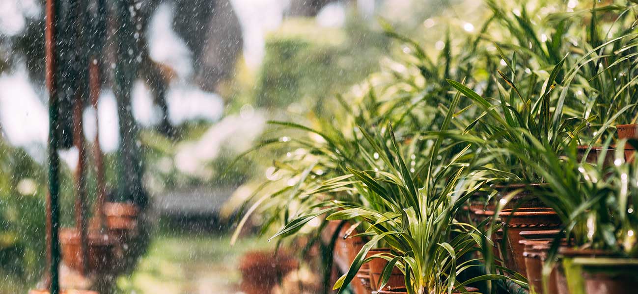 Second Chance Business Checking