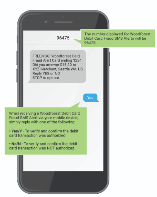 Fraud Alerts Mockup in Device